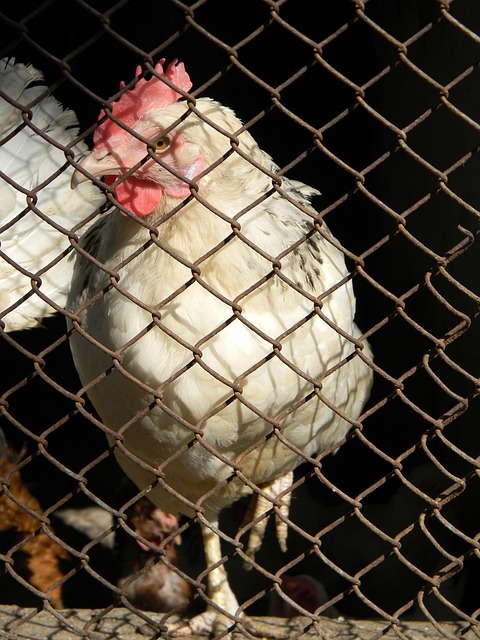 這一趨勢反 這一趨勢反