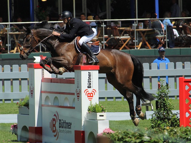 顶级球星的 顶级球星的