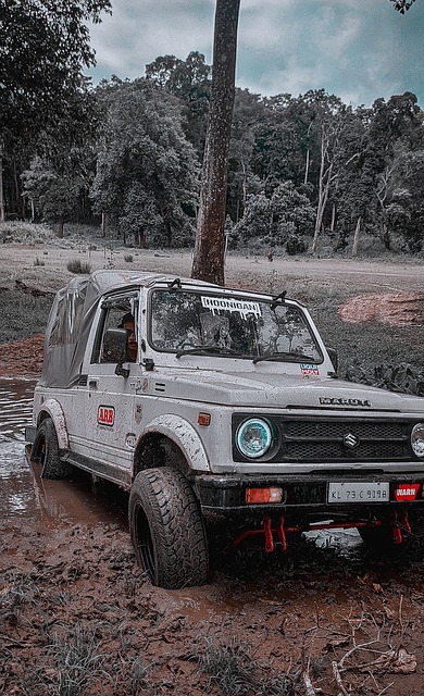 战术天才未 战术天才未