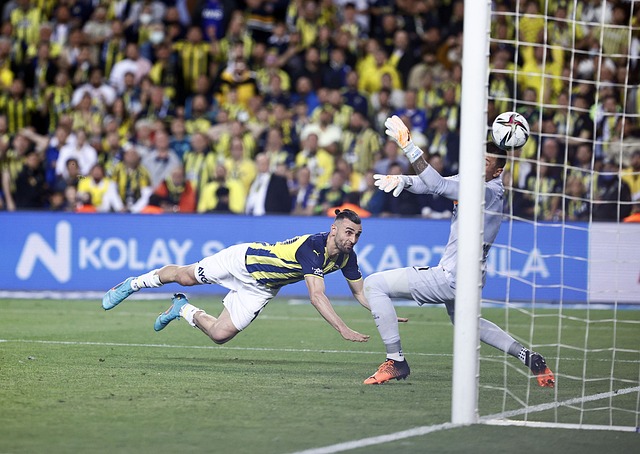 十分重要 十分重要