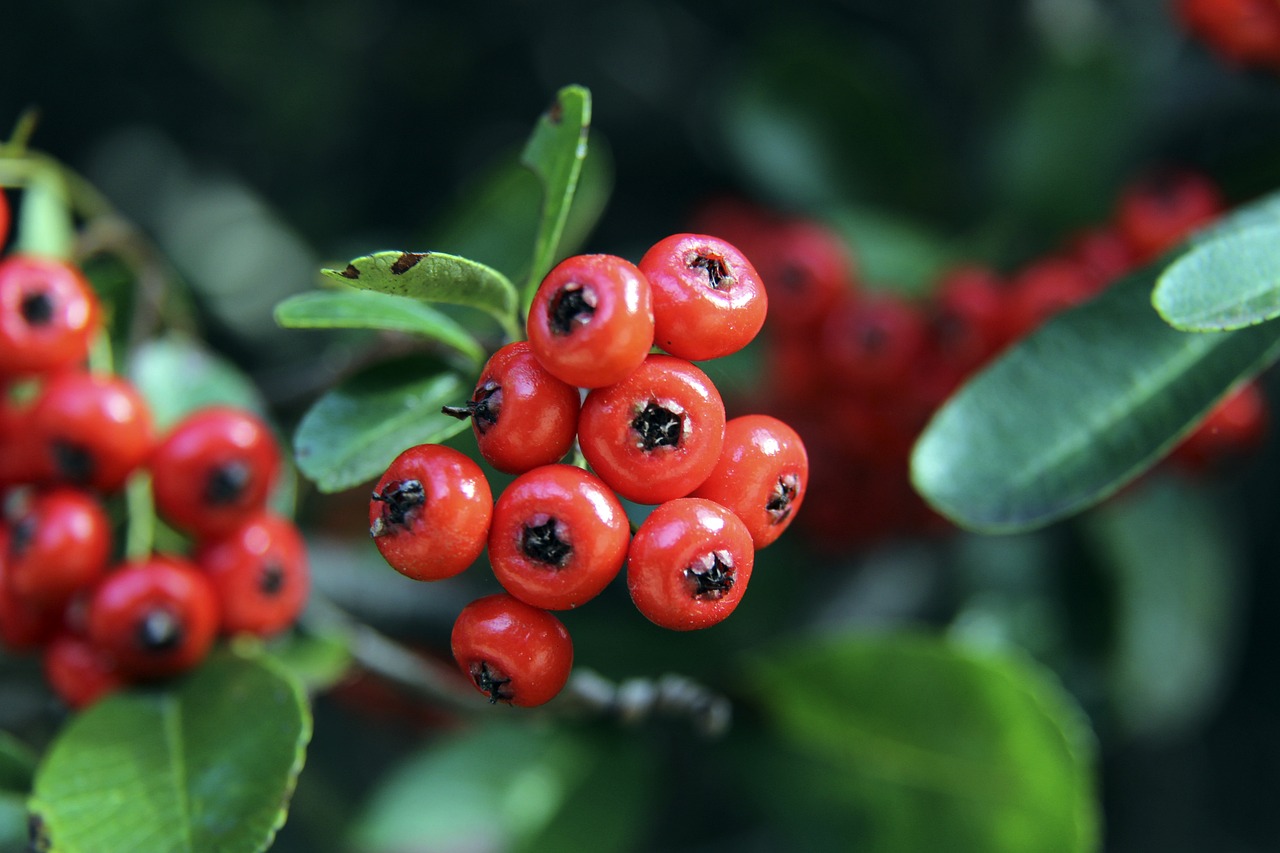 关注的大战 关注的大战