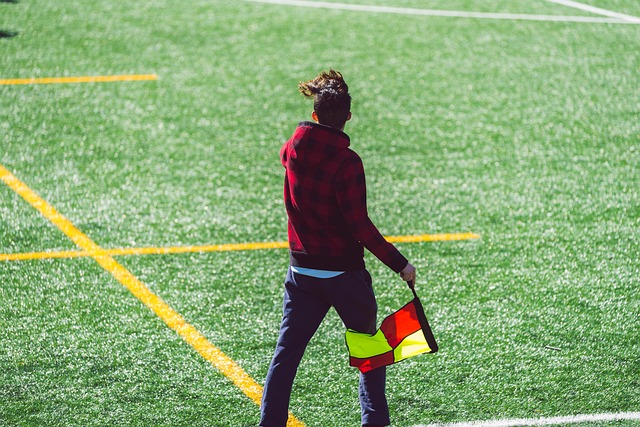 稳定性和实 稳定性和实